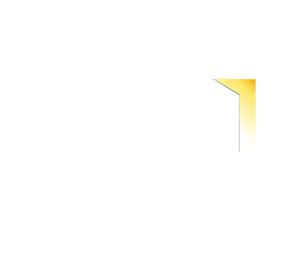 api logo